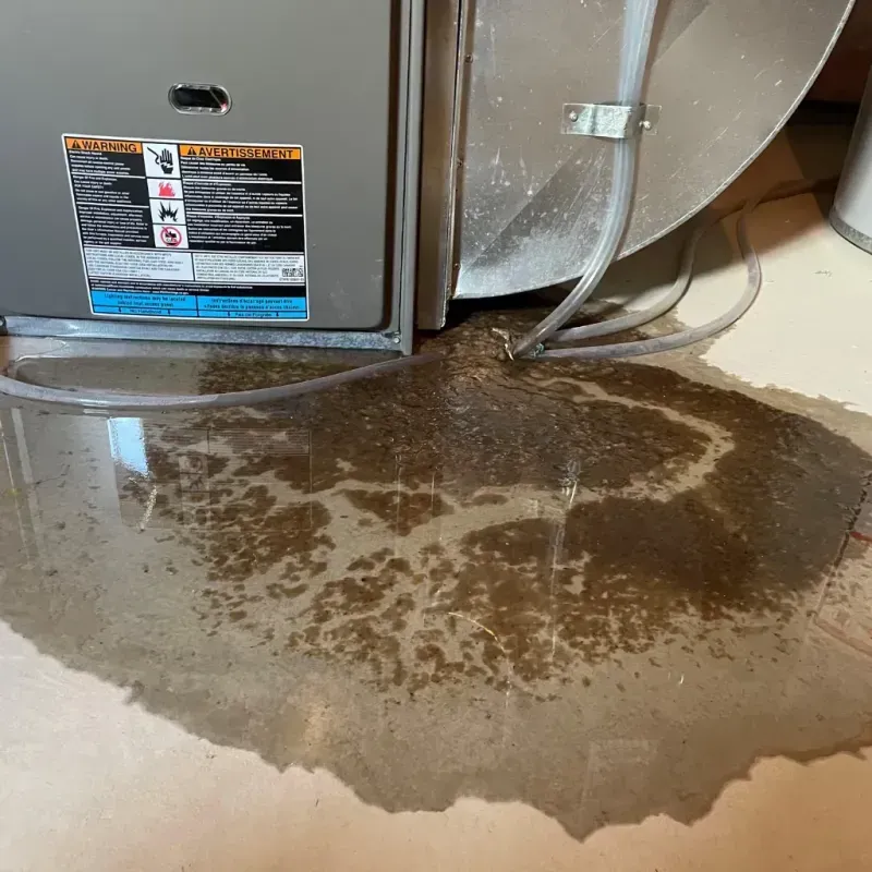 Appliance Leak Cleanup in Rock Island, IL